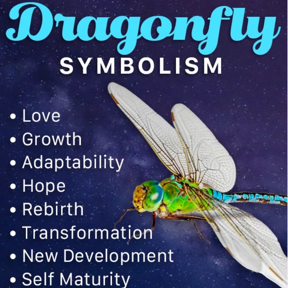 Brass Dragonfly - Picture 7 of 8